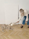 all dogs products all cats products all small animal products