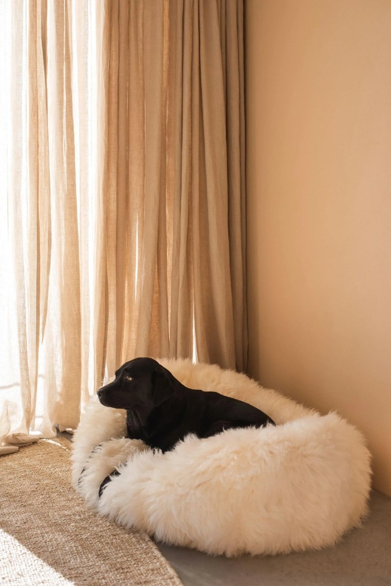 all dogs products all cats products all small animal products