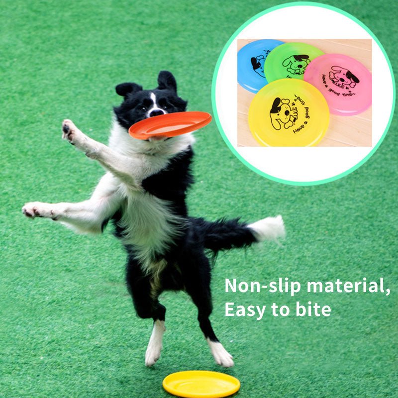 all dogs products all cats products all small animal products