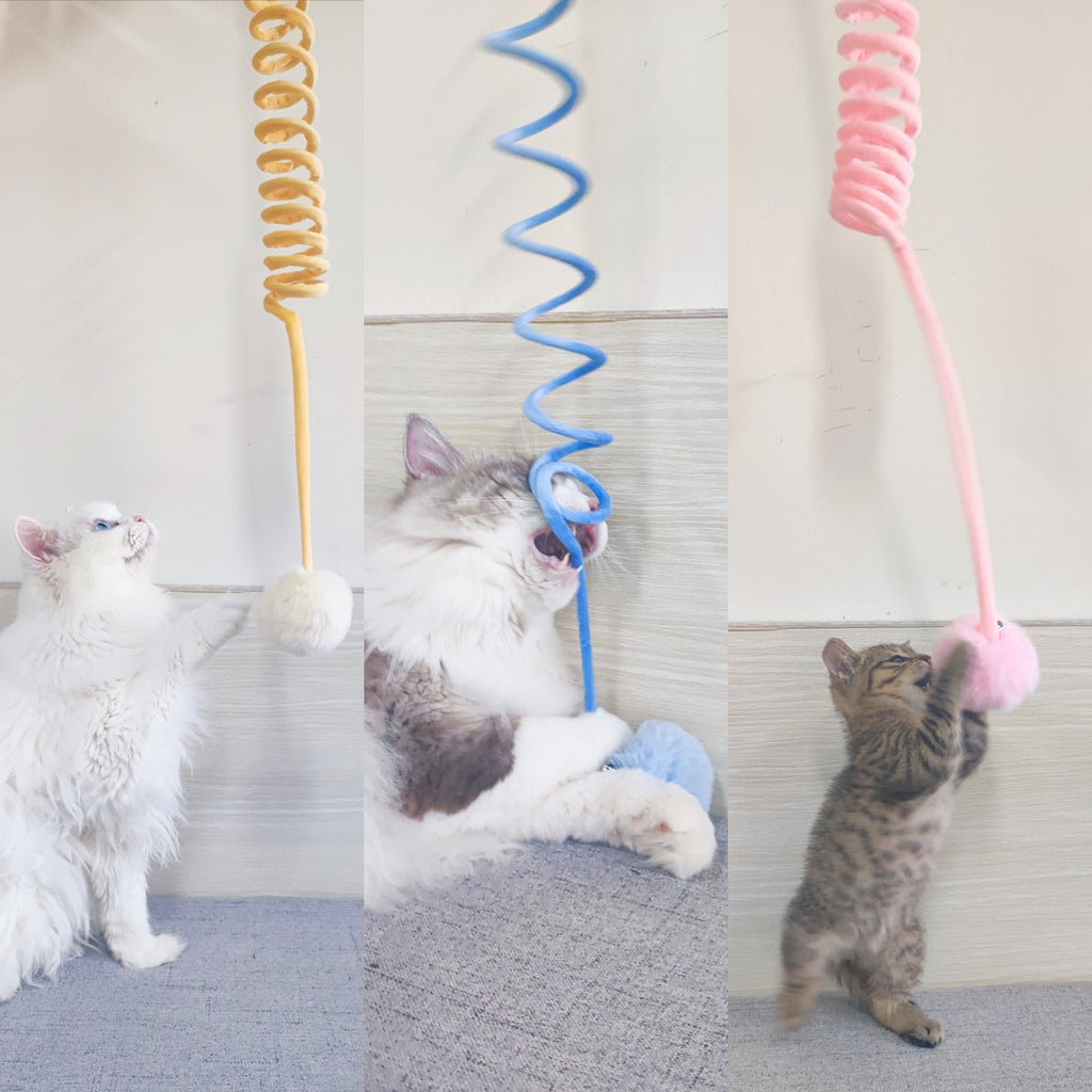 all dogs products all cats products all small animal products