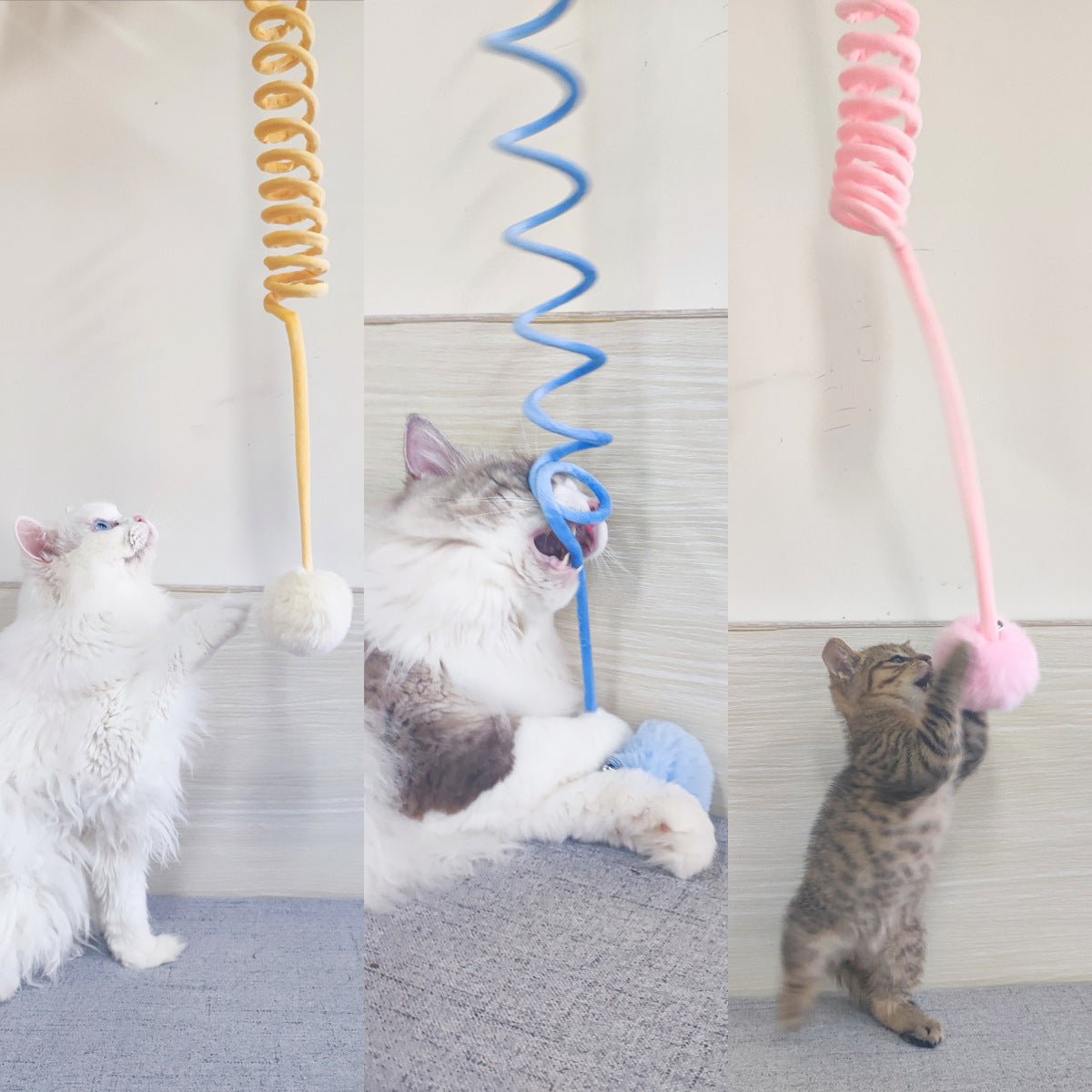 all dogs products all cats products all small animal products