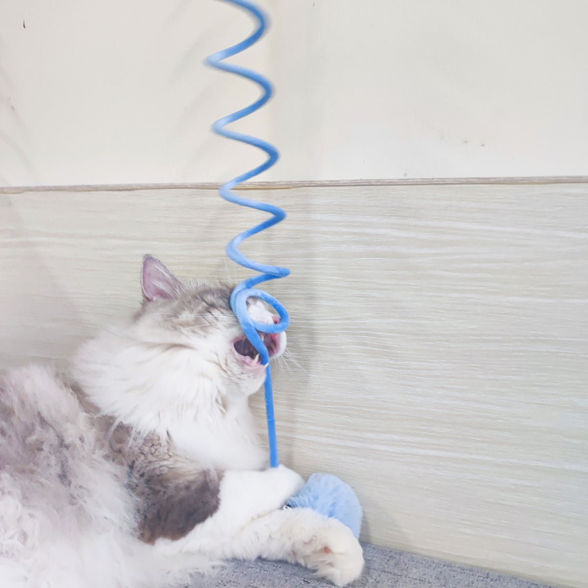 all dogs products all cats products all small animal products