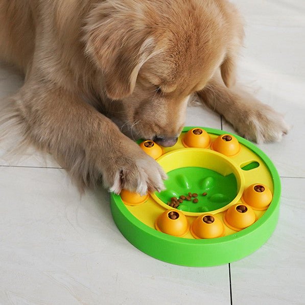 all dogs products all cats products all small animal products