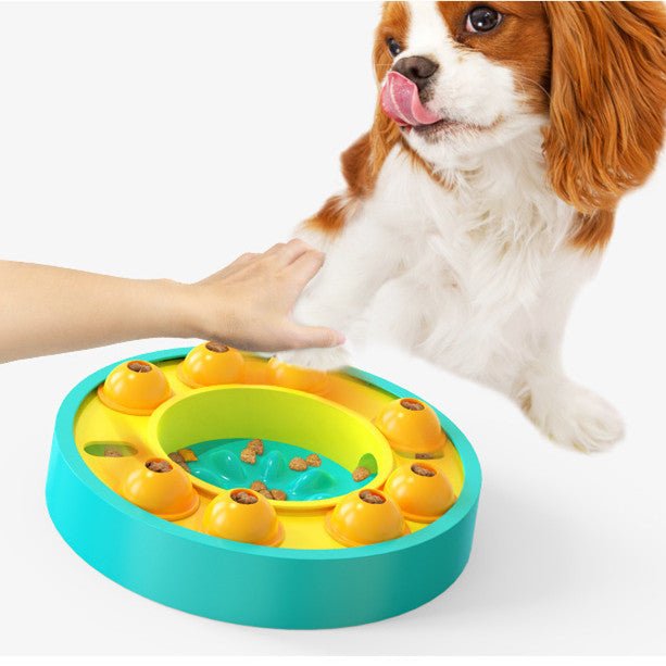 all dogs products all cats products all small animal products
