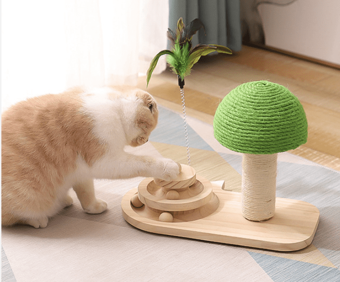 all dogs products all cats products all small animal products