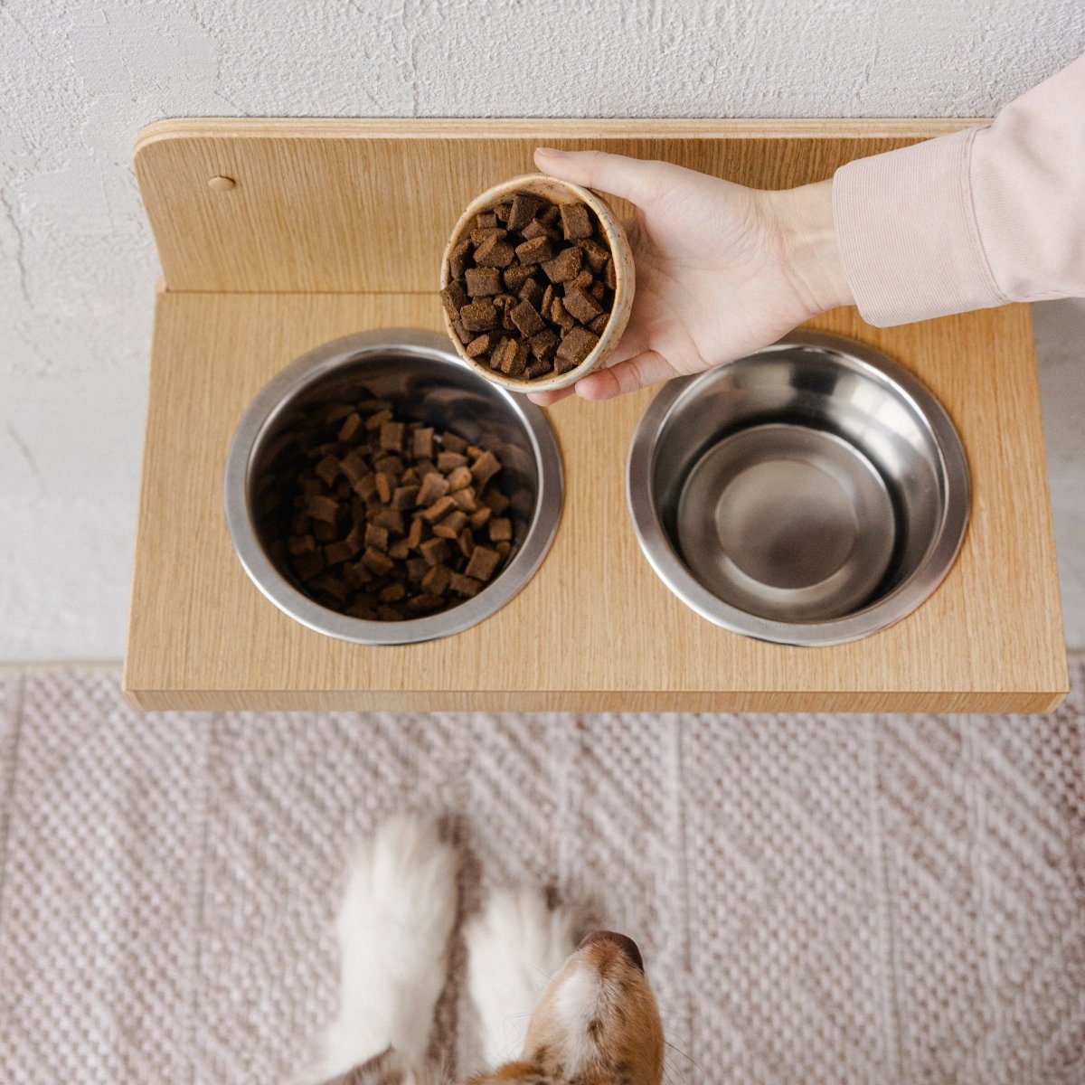 all dogs products all cats products all small animal products