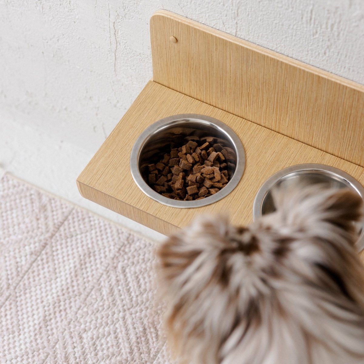 all dogs products all cats products all small animal products