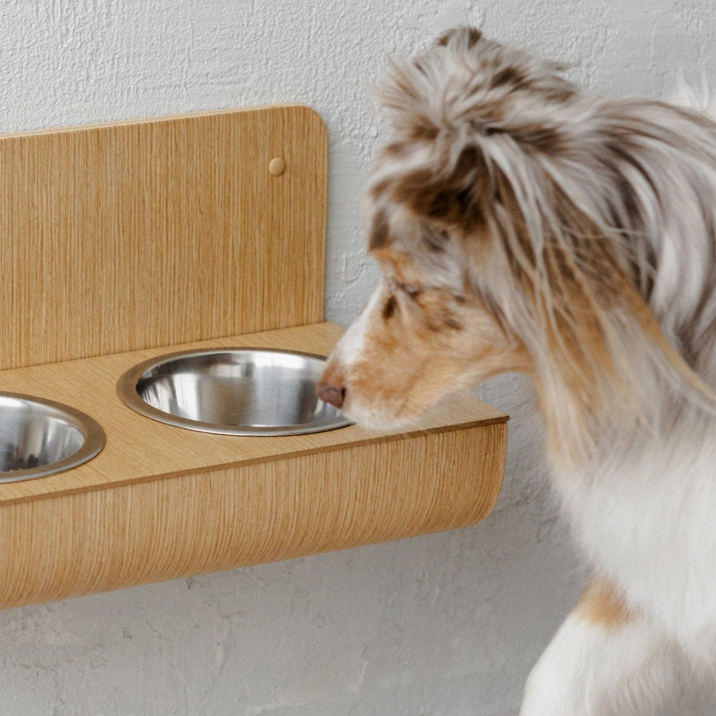 all dogs products all cats products all small animal products