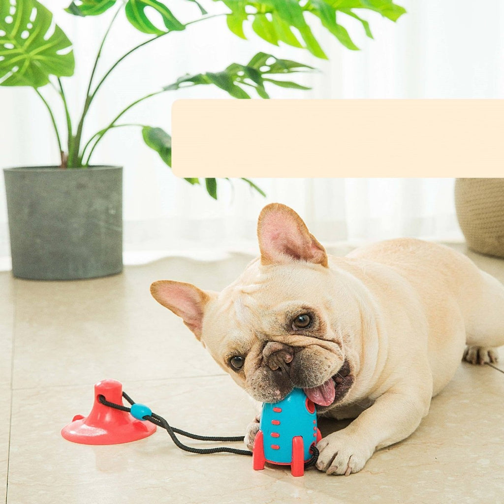 all dogs products all cats products all small animal products