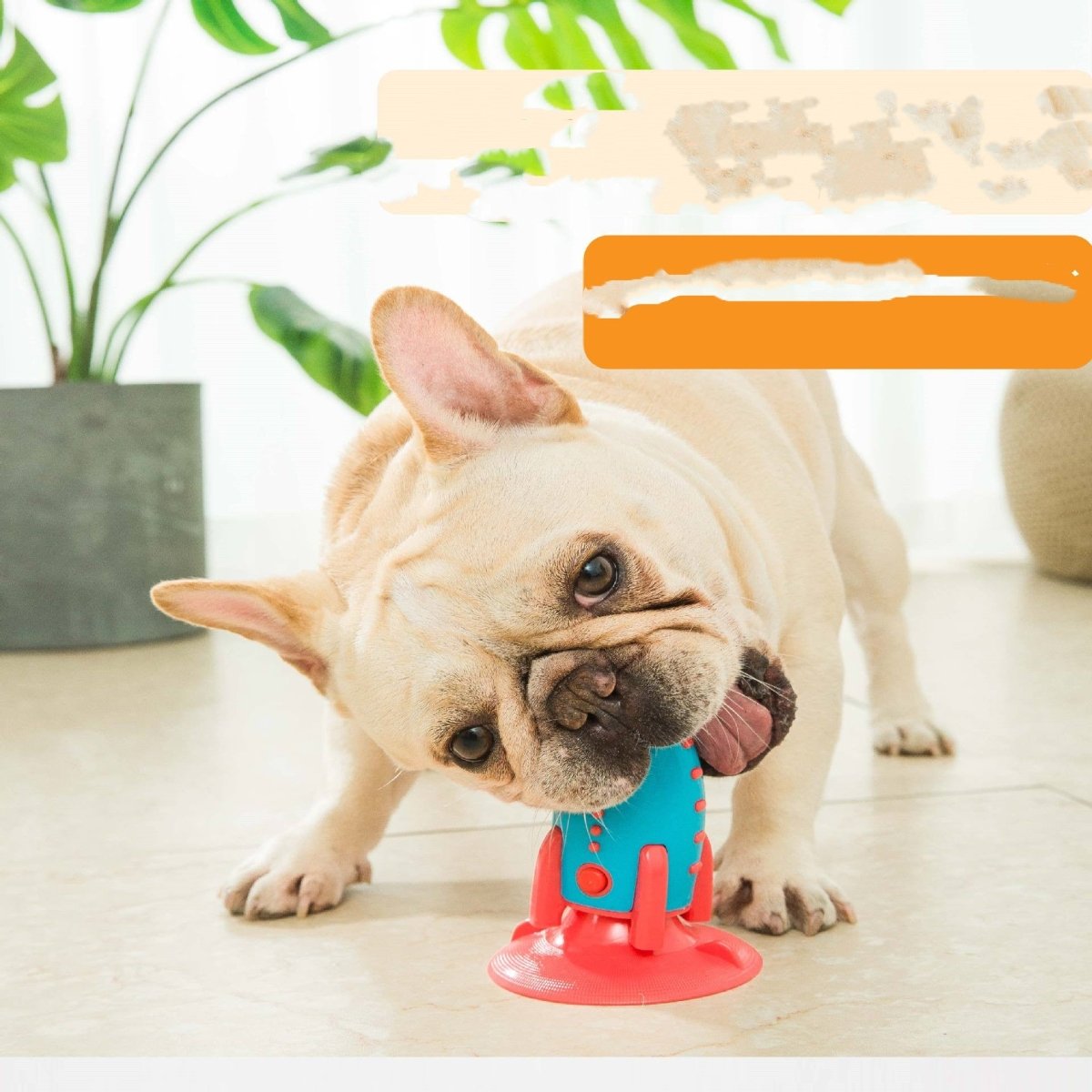 all dogs products all cats products all small animal products