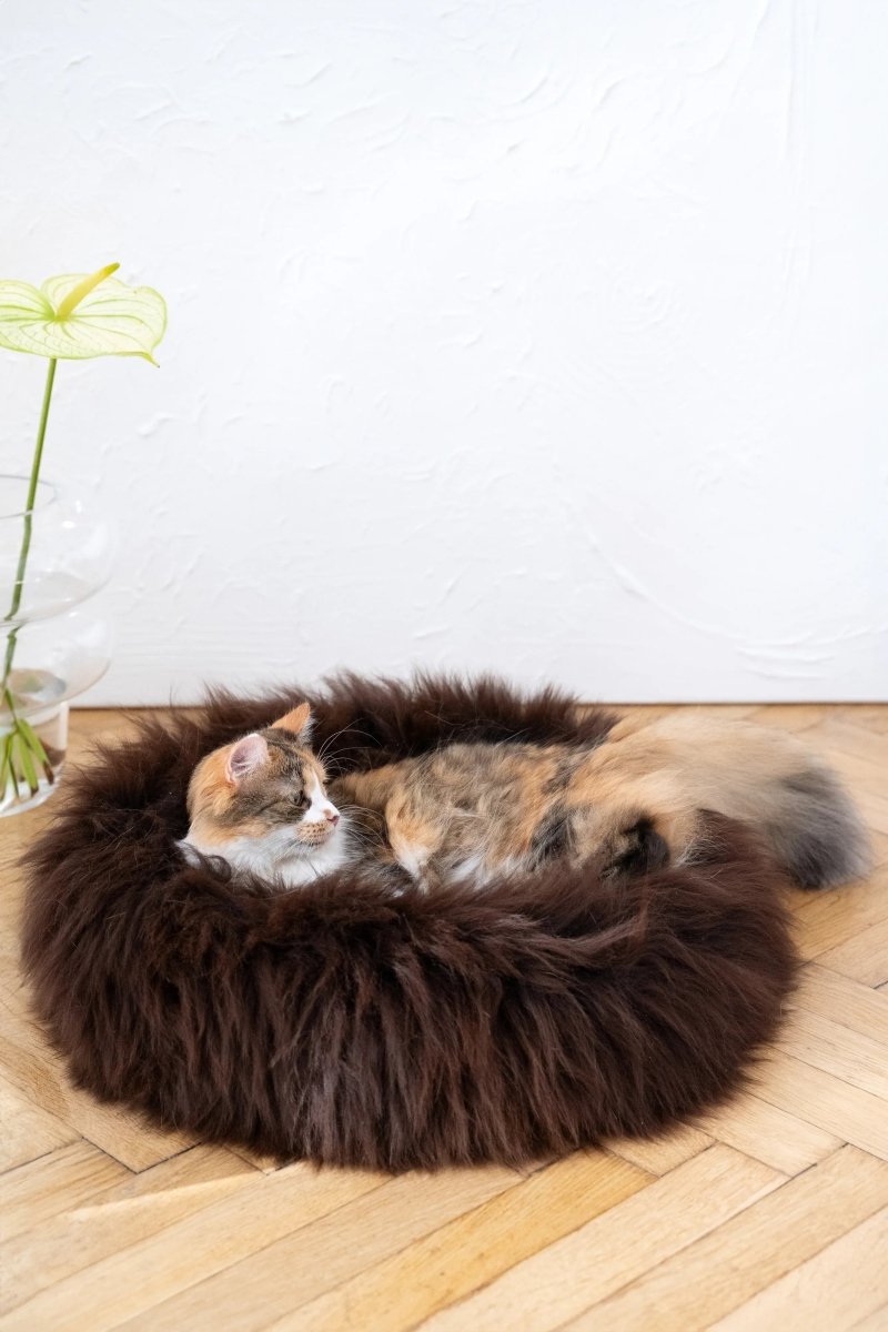 all dogs products all cats products all small animal products