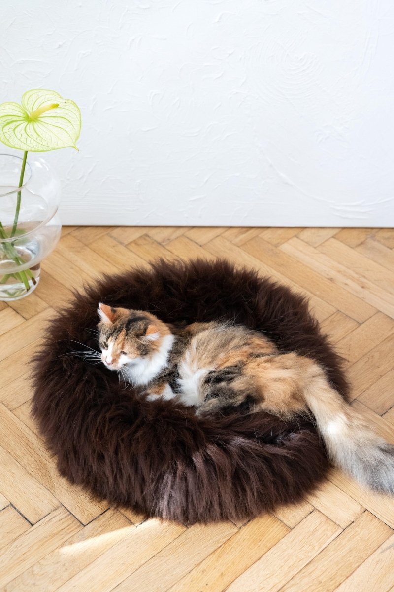 all dogs products all cats products all small animal products
