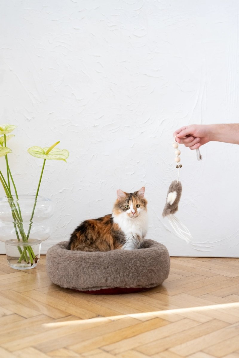 all dogs products all cats products all small animal products