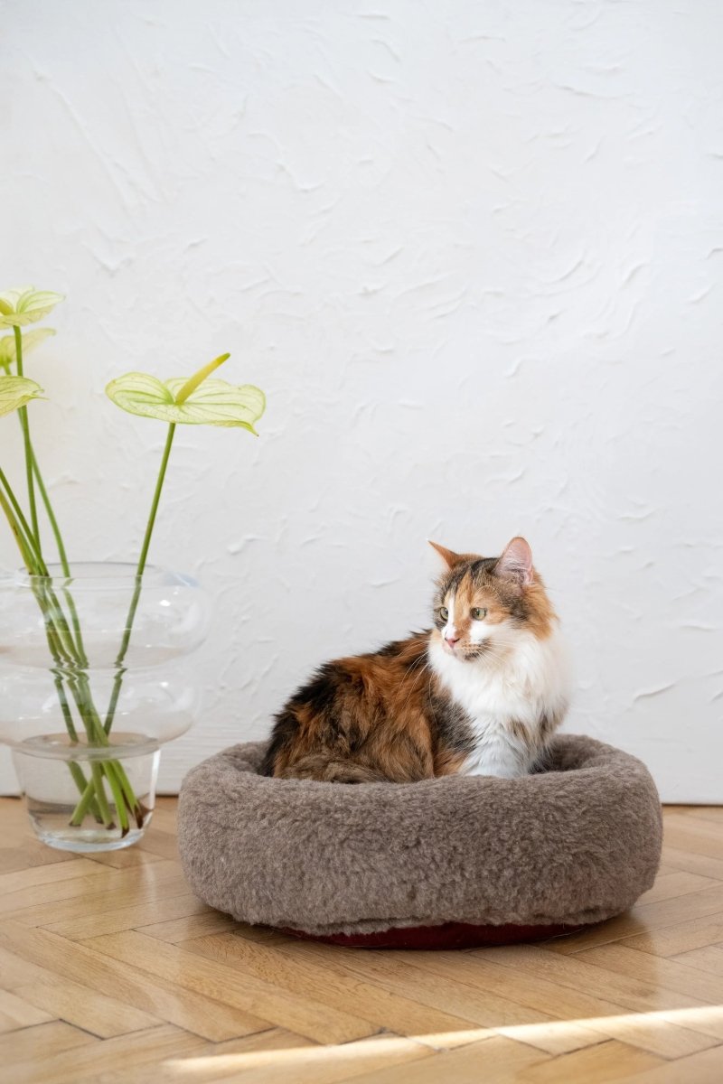 all dogs products all cats products all small animal products