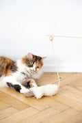 all dogs products all cats products all small animal products