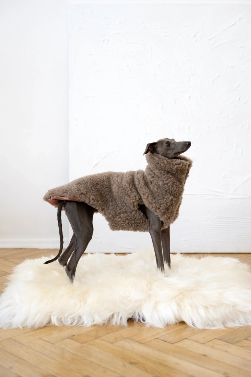 all dogs products all cats products all small animal products