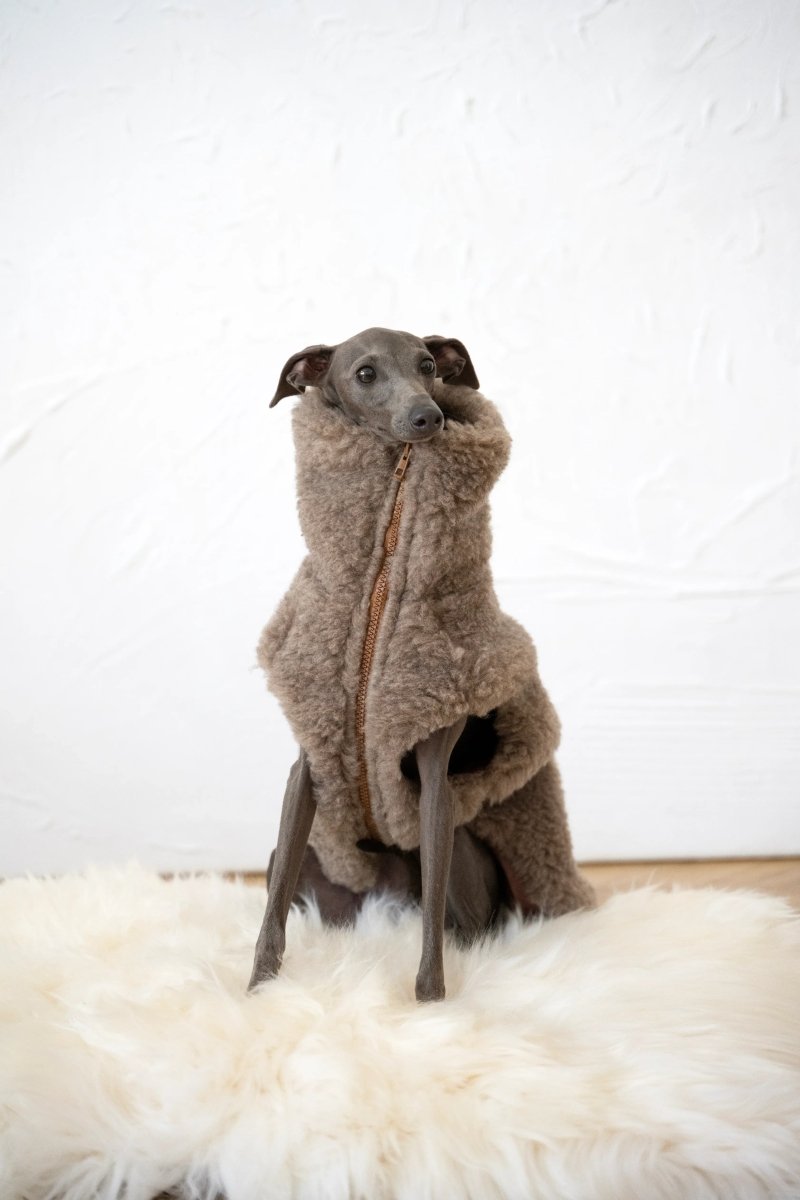 all dogs products all cats products all small animal products