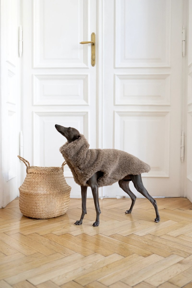 all dogs products all cats products all small animal products