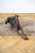all dogs products all cats products all small animal products