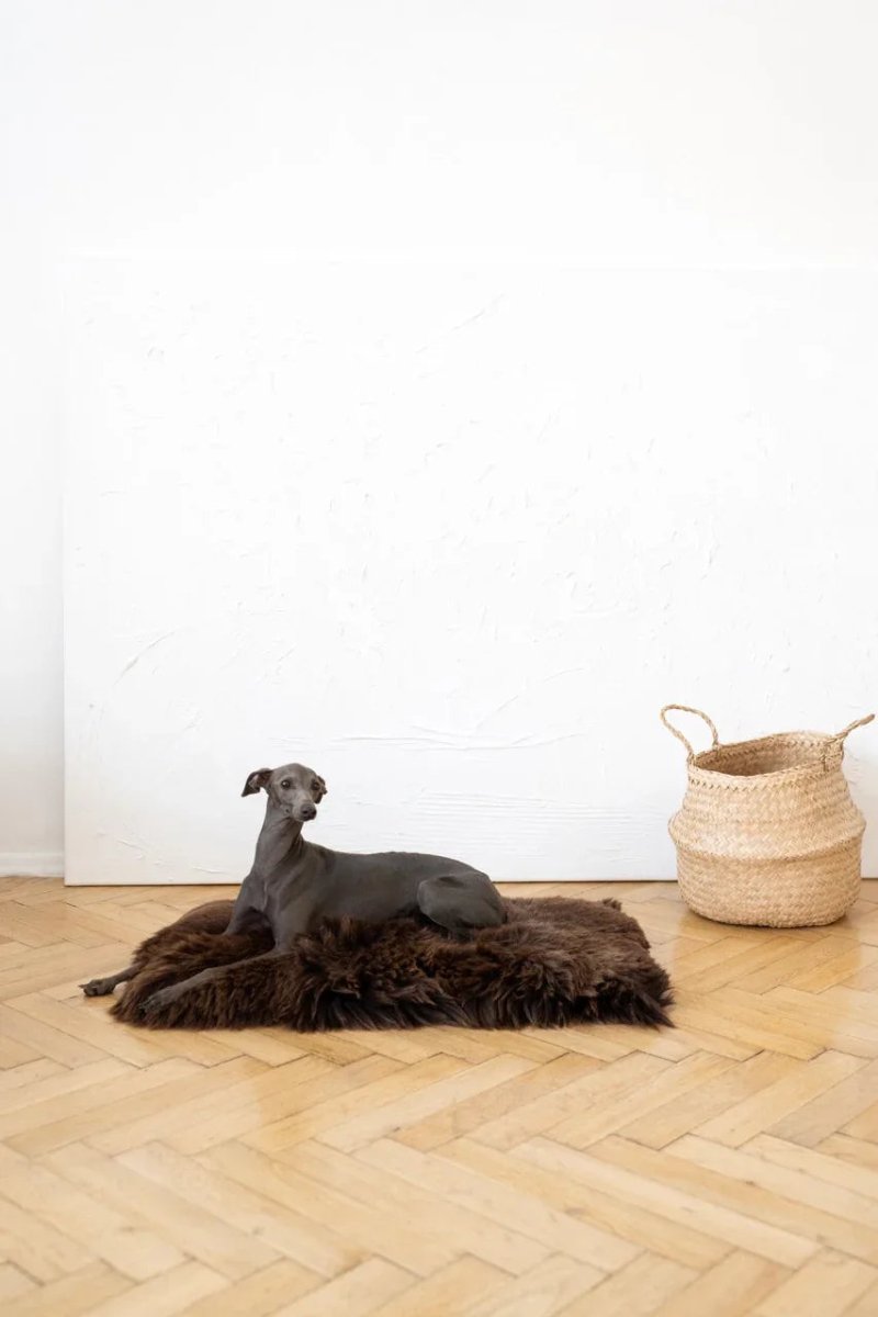all dogs products all cats products all small animal products