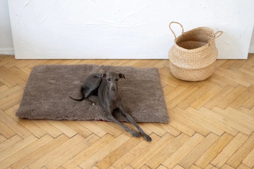 all dogs products all cats products all small animal products