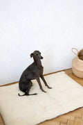 all dogs products all cats products all small animal products