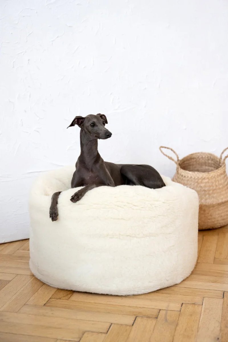 all dogs products all cats products all small animal products
