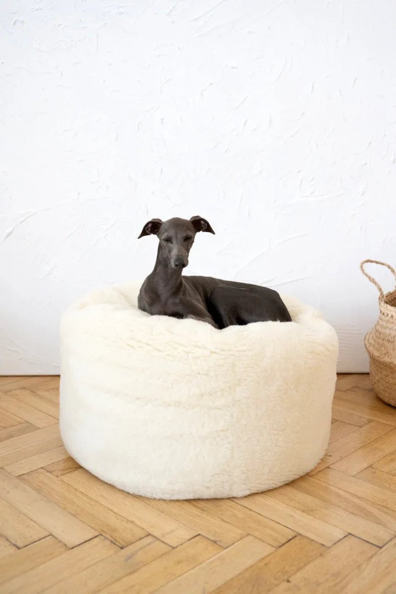 all dogs products all cats products all small animal products