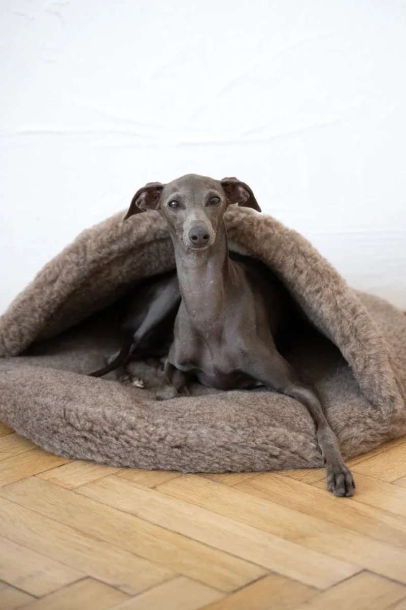 all dogs products all cats products all small animal products