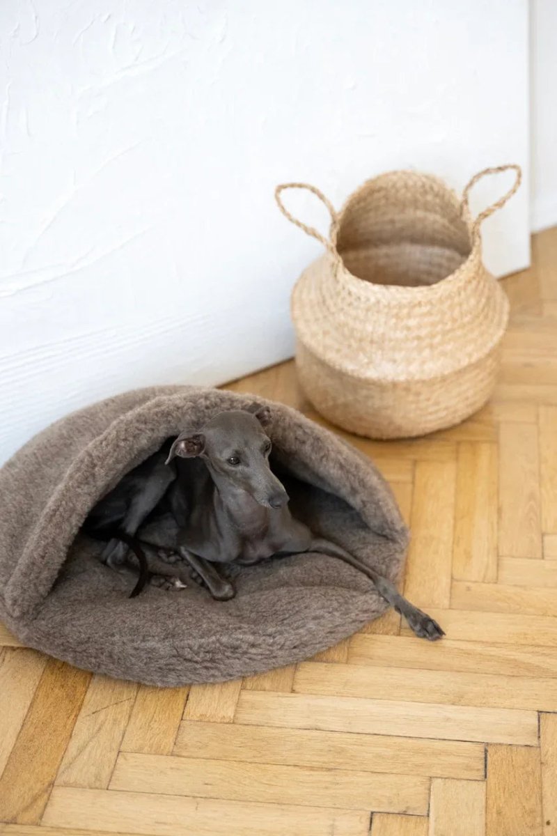 all dogs products all cats products all small animal products