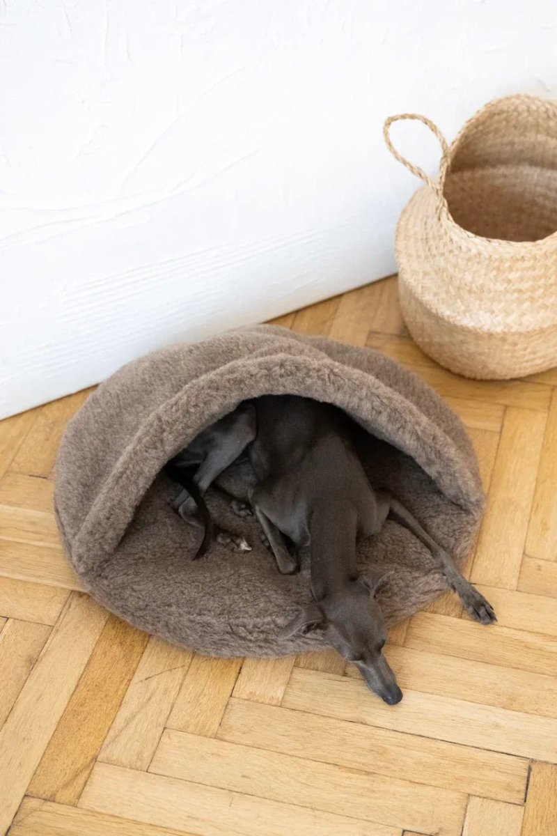 all dogs products all cats products all small animal products