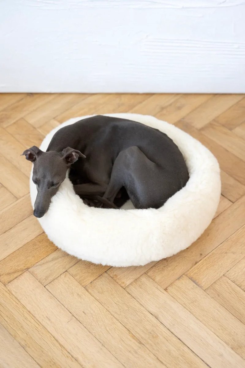 all dogs products all cats products all small animal products