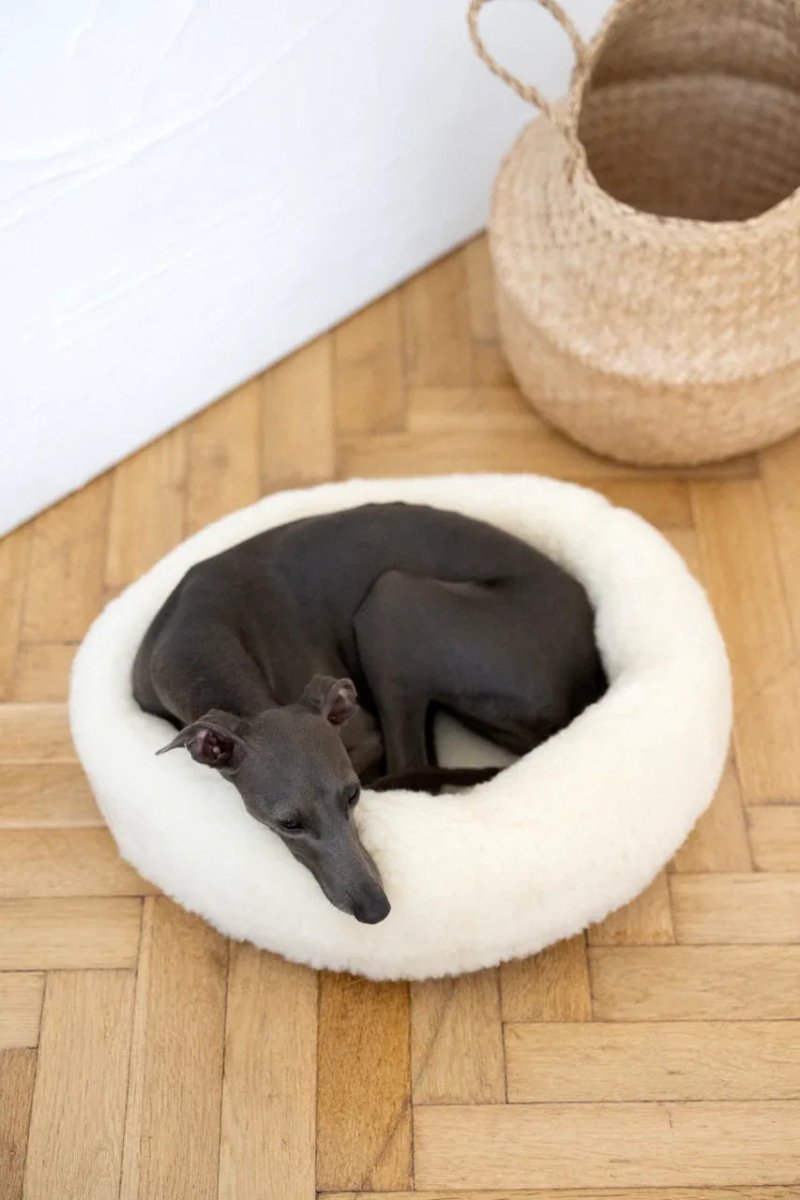 all dogs products all cats products all small animal products