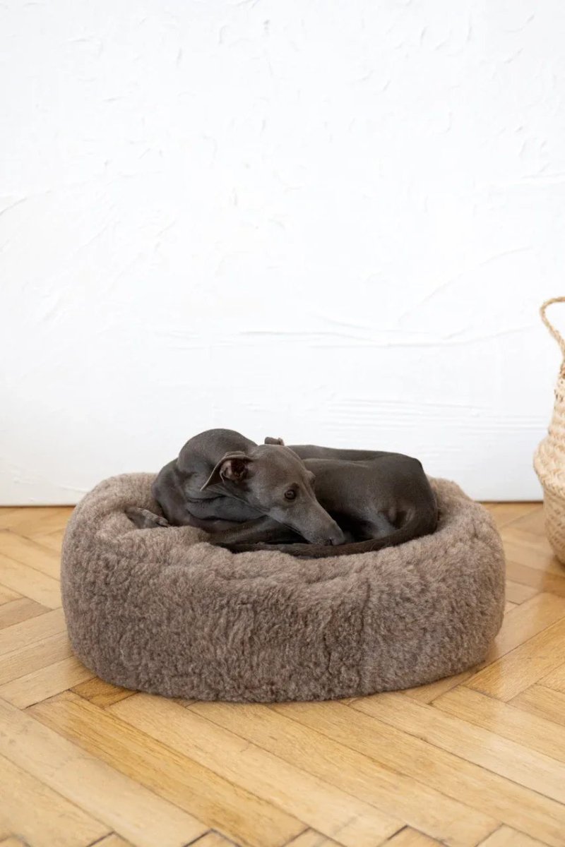 all dogs products all cats products all small animal products