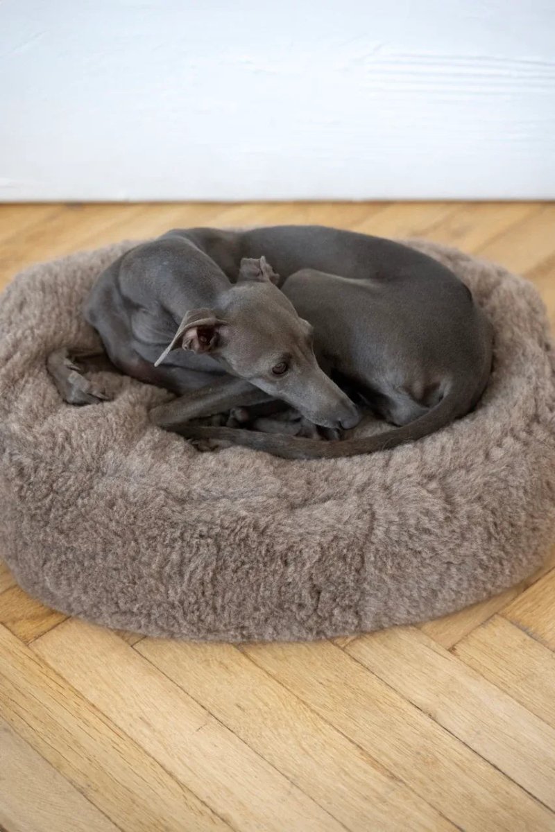 all dogs products all cats products all small animal products