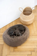 all dogs products all cats products all small animal products