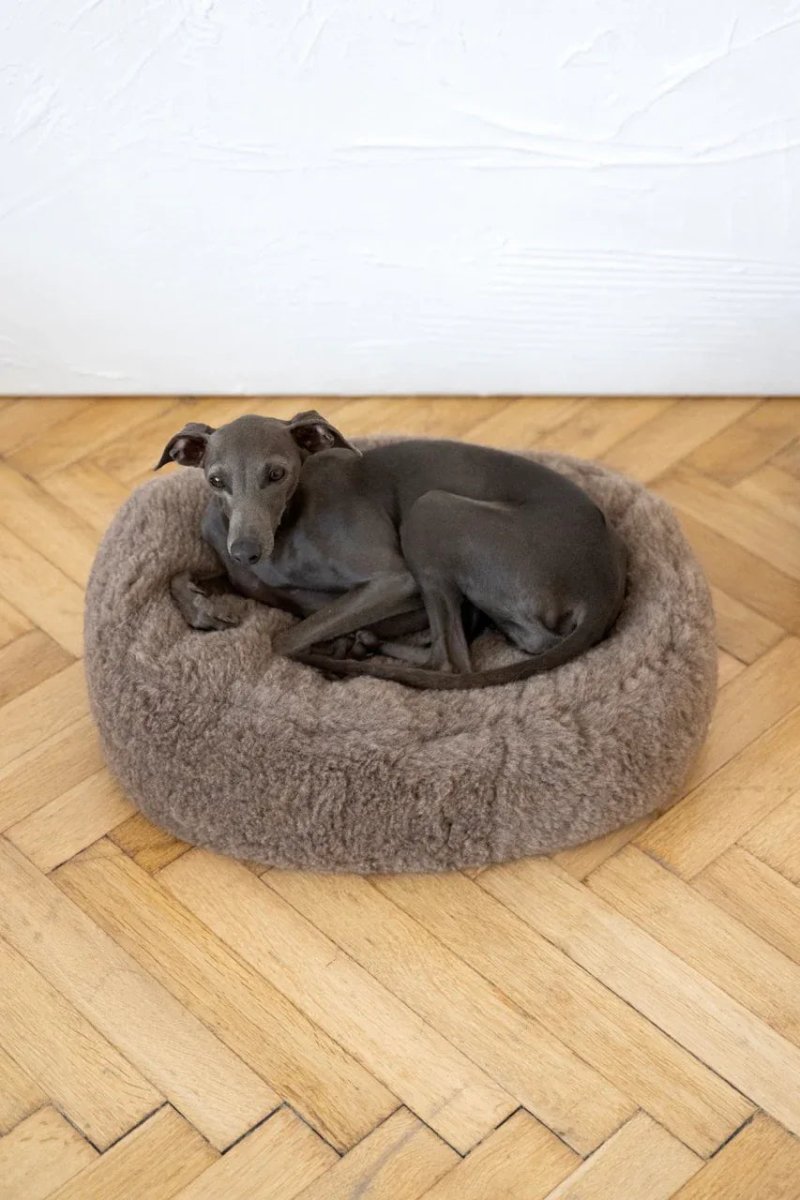all dogs products all cats products all small animal products