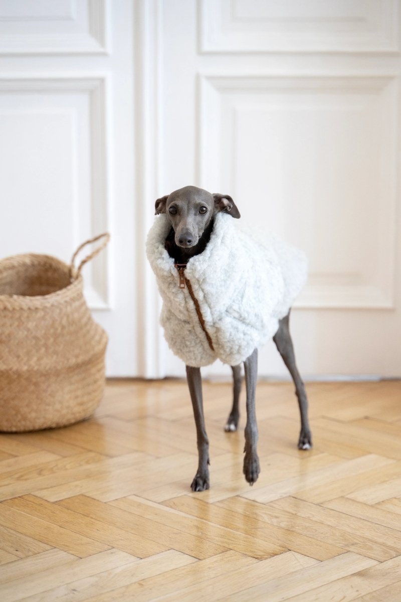 all dogs products all cats products all small animal products