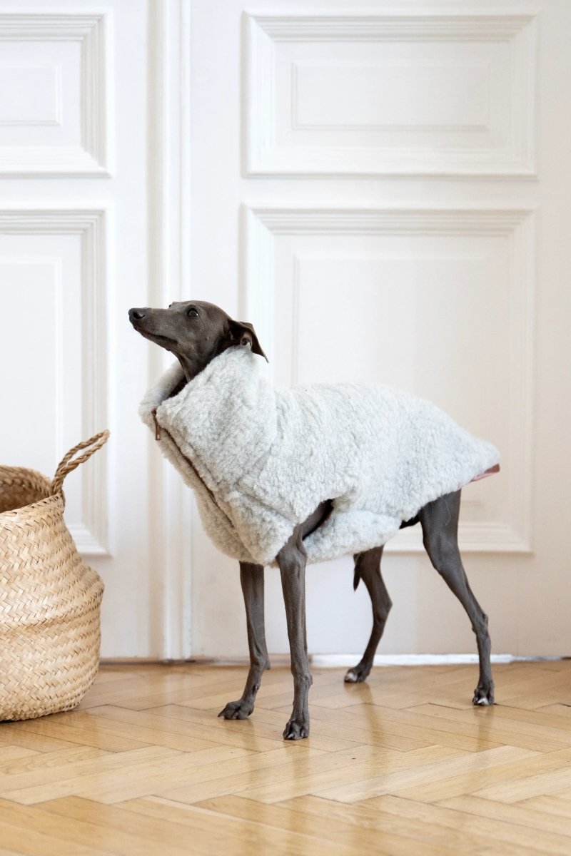 all dogs products all cats products all small animal products