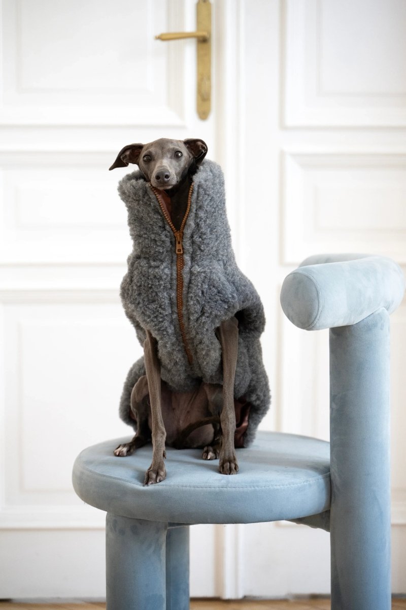 all dogs products all cats products all small animal products