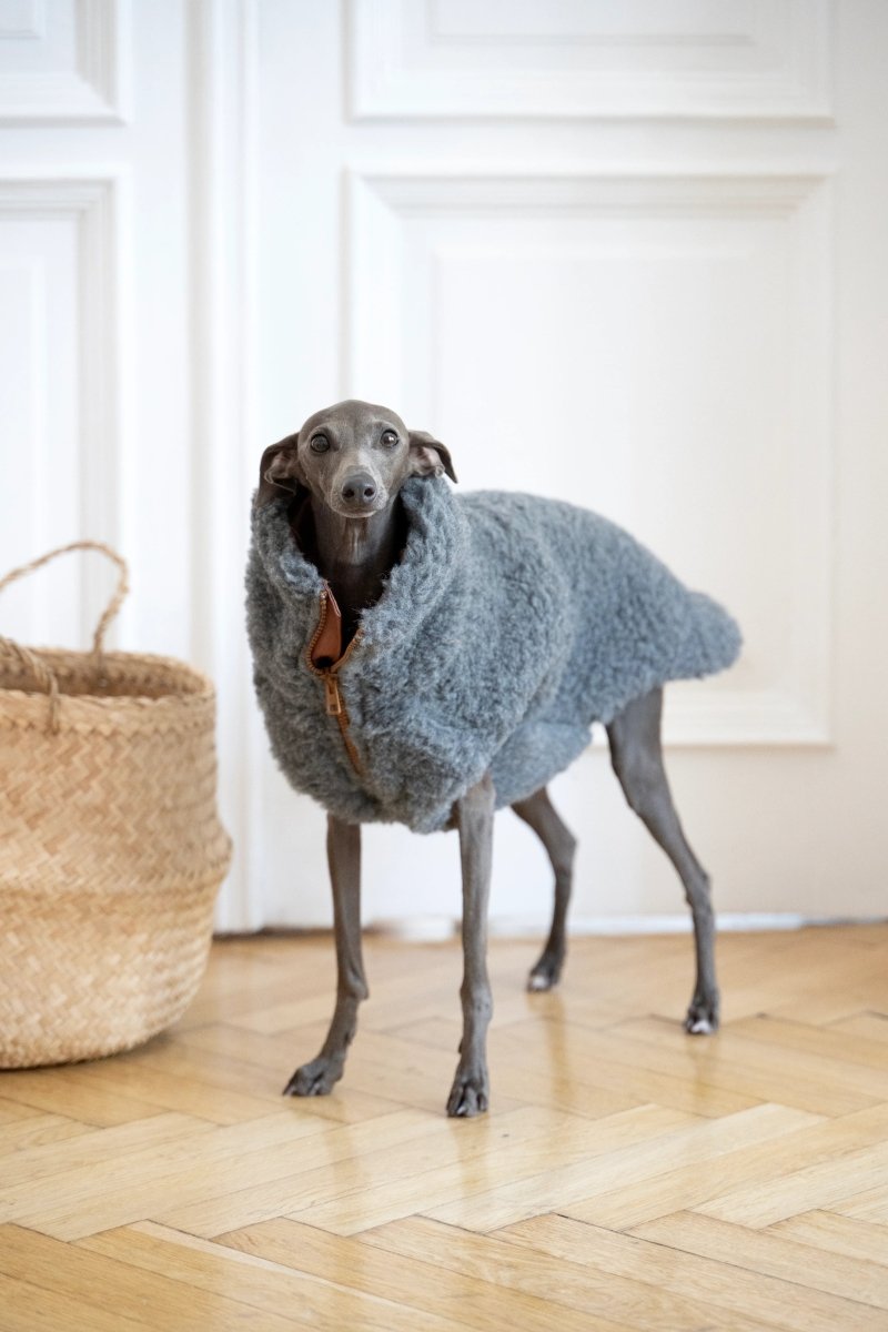 all dogs products all cats products all small animal products