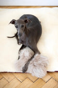 all dogs products all cats products all small animal products