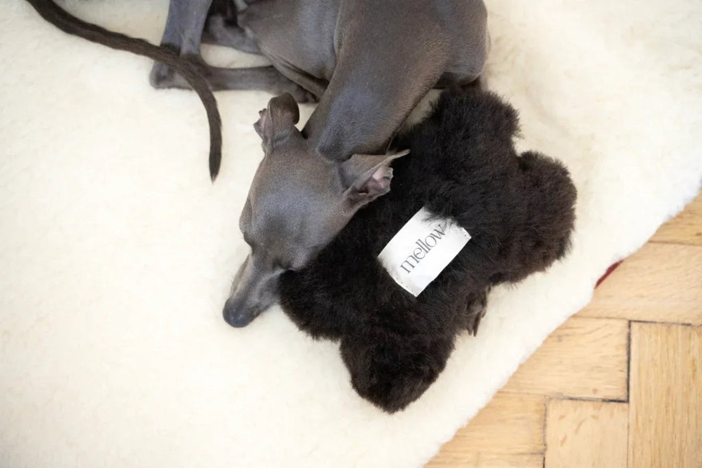 all dogs products all cats products all small animal products