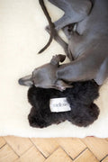 all dogs products all cats products all small animal products