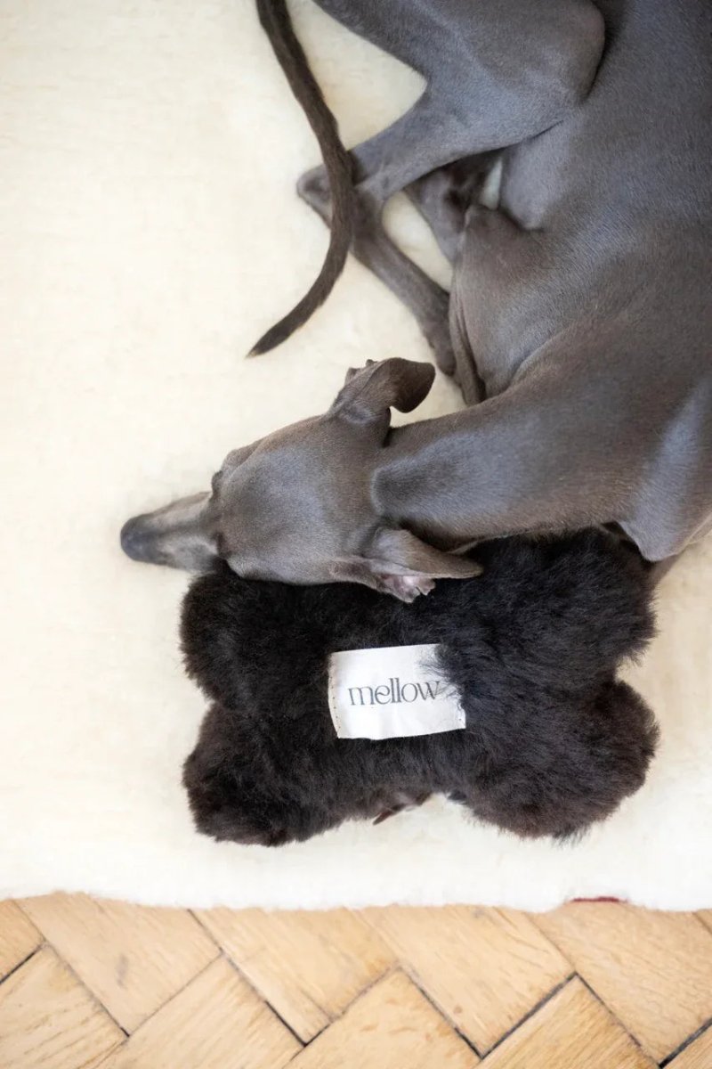 all dogs products all cats products all small animal products