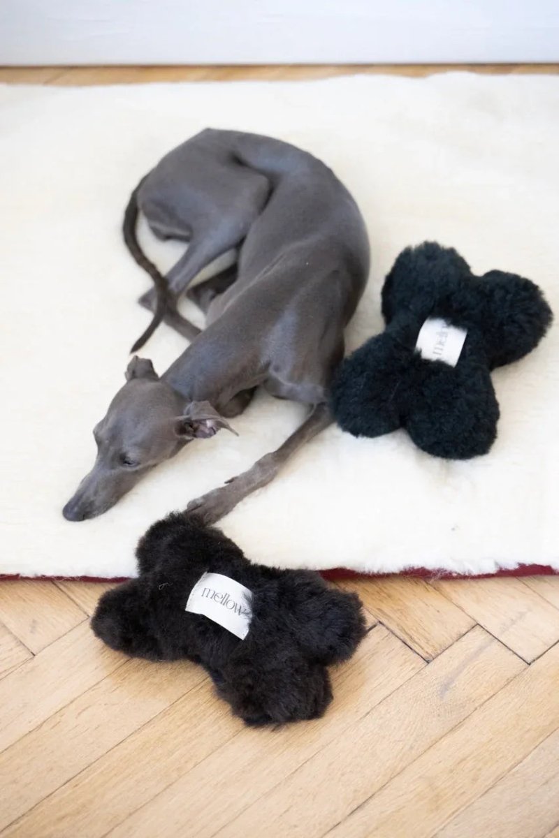 all dogs products all cats products all small animal products