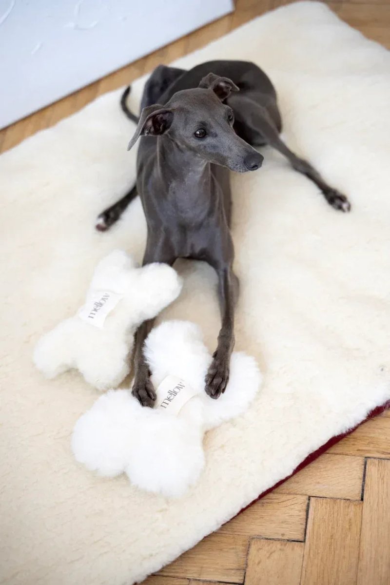all dogs products all cats products all small animal products