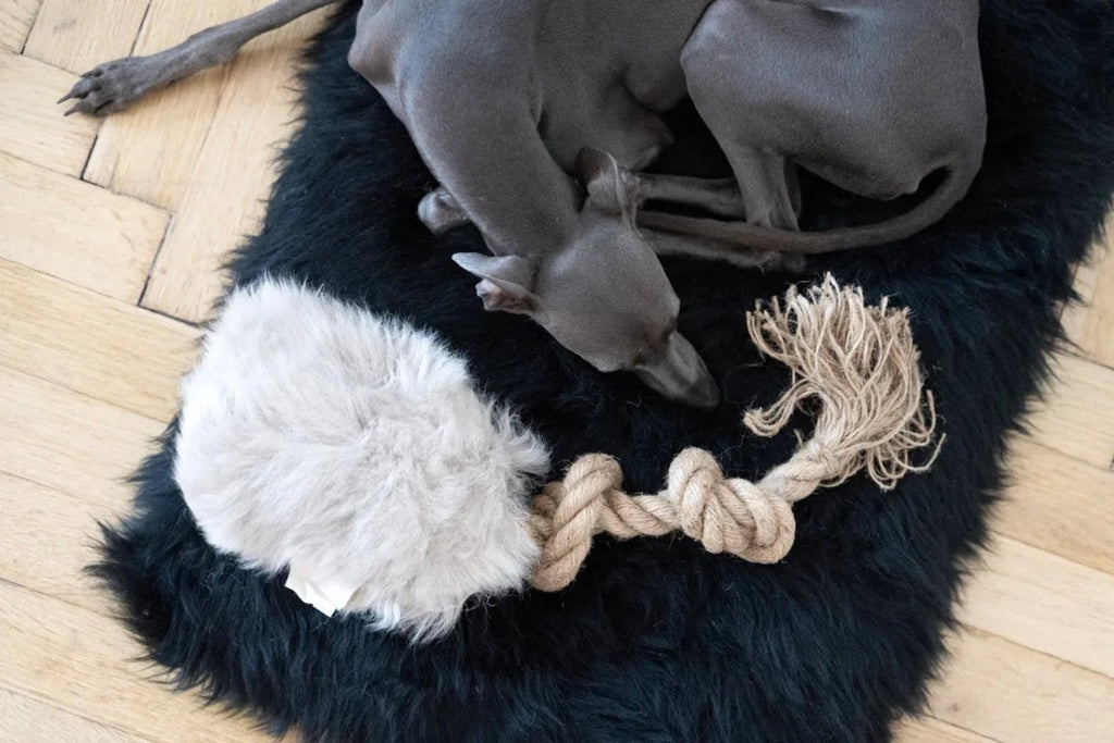 all dogs products all cats products all small animal products