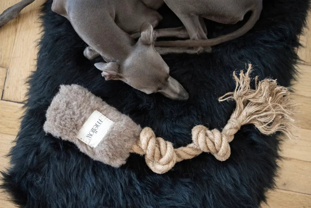 all dogs products all cats products all small animal products