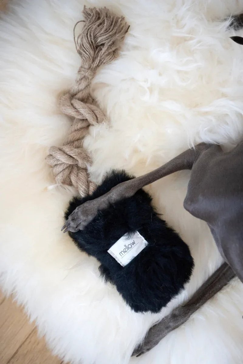 all dogs products all cats products all small animal products